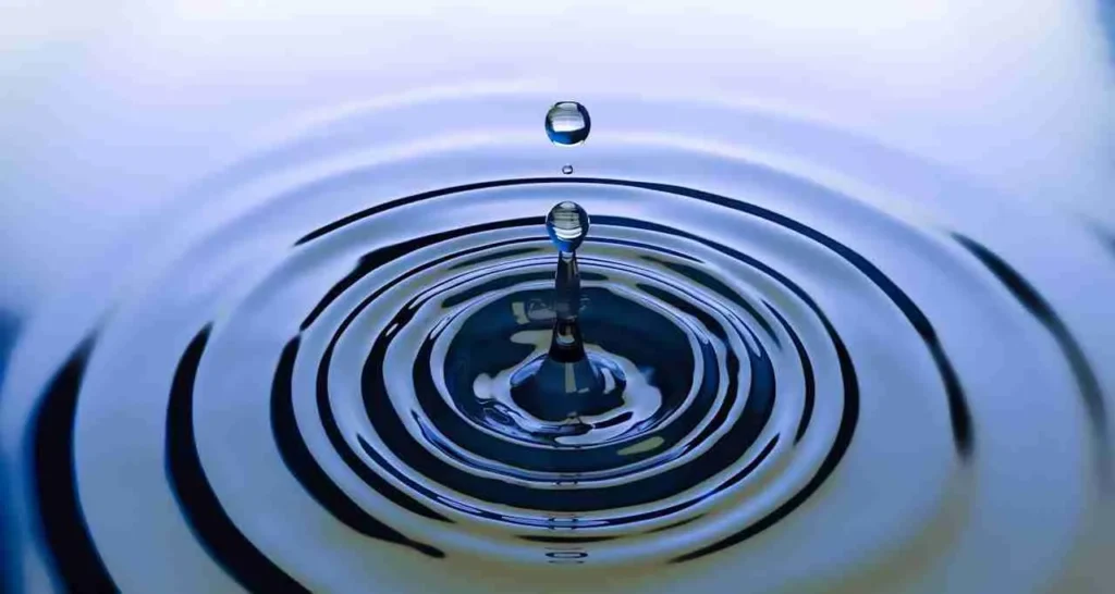 Análisis de Toxicidad en Aguas: Importancia, Métodos y Estándares Internacionales